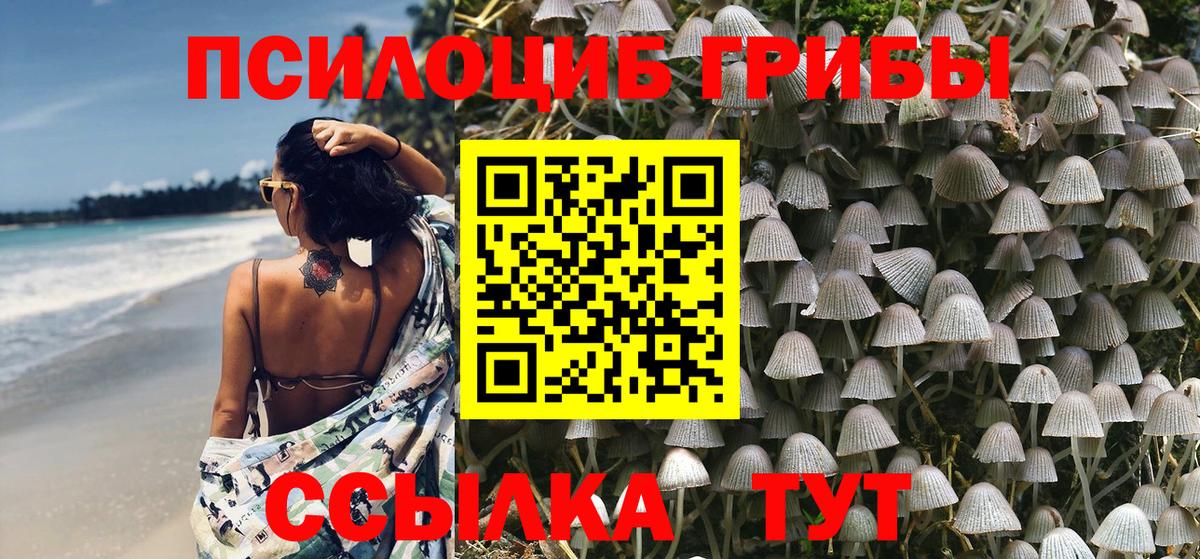 Галлюциногенные грибы MAGIC MUSHROOMS Конаково