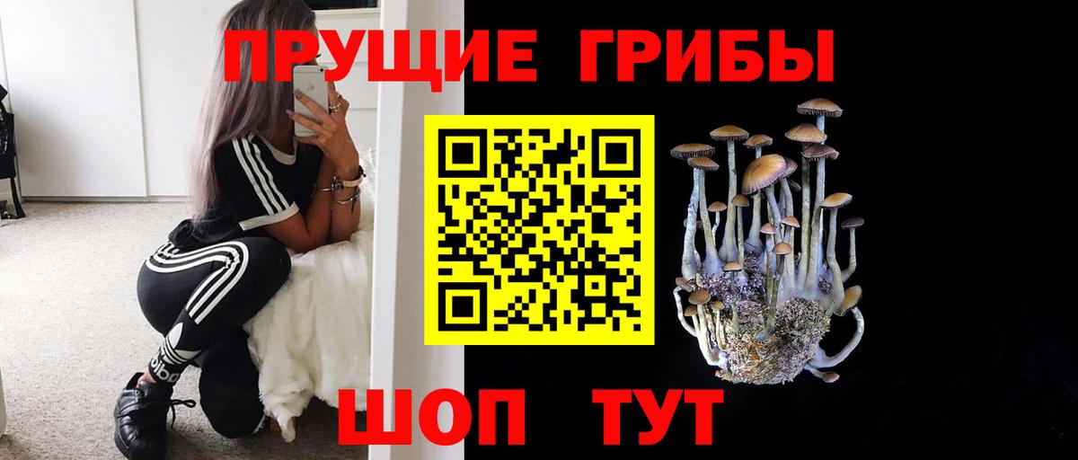 Конаково  Псилоцибиновые грибы Psilocybe  Вход с VPN 